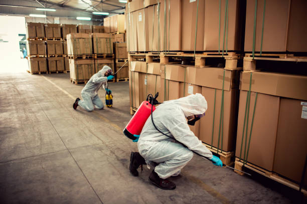 Best Ant Control Services  in Blue Ridge, AL