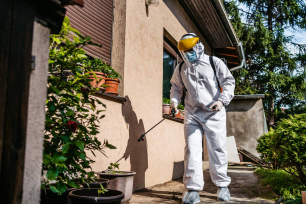 Best Cockroach Control Services  in Blue Ridge, AL