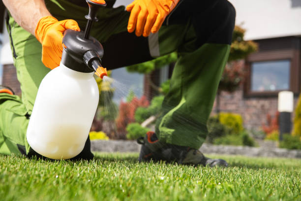 Best Bed Bug Extermination  in Blue Ridge, AL