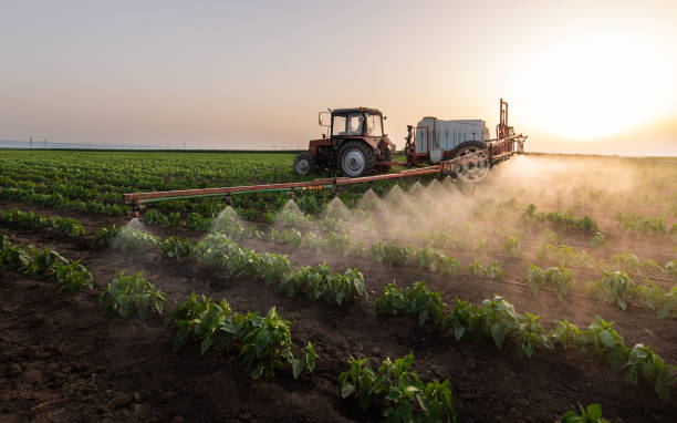 Best Commercial Pest Control Services  in Blue Ridge, AL