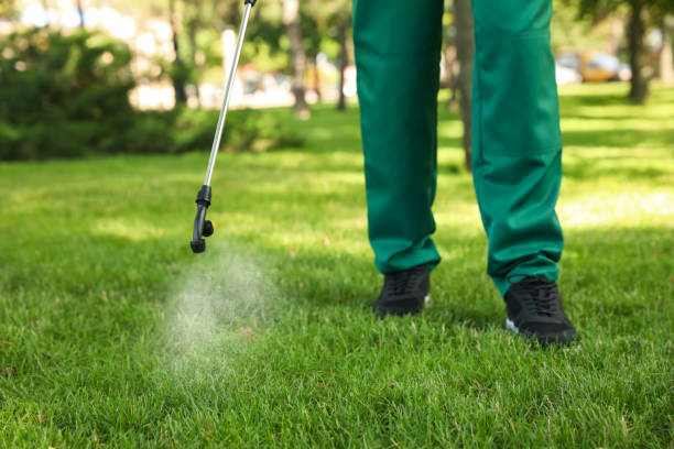 Best Mosquito Control Services  in Blue Ridge, AL