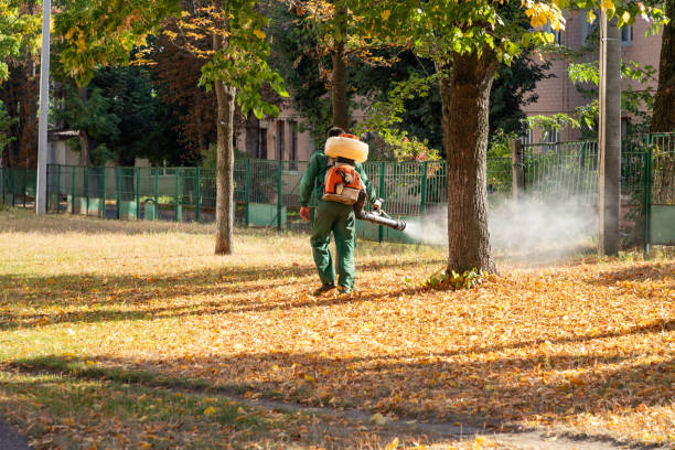 Best Residential Pest Control  in Blue Ridge, AL