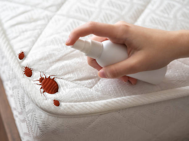 Best Pest Inspection Near Me  in Blue Ridge, AL