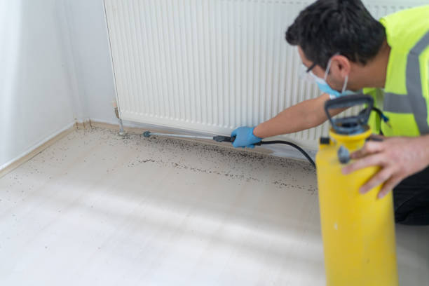 Best Termite Control Services  in Blue Ridge, AL